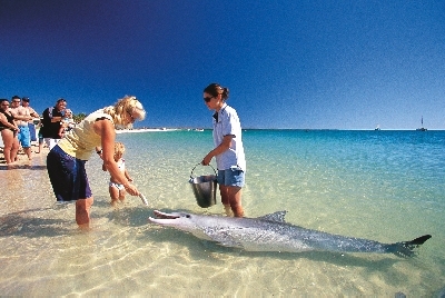 Mit dem Wohnmobil von Perth nach Broome